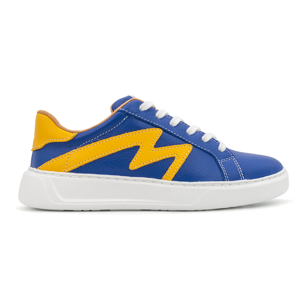 Blue/Gold