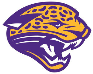 DeSoto Central High School